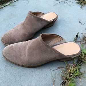 Franco Sarto Mules
